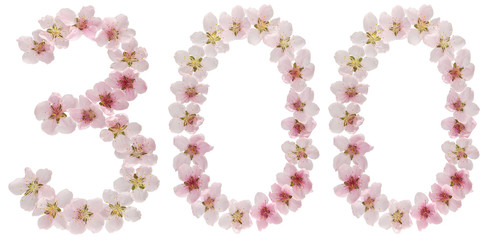 Numeral 300, three hundred, from natural pink flowers of peach tree, isolated on white background