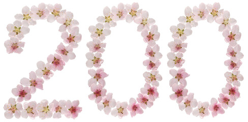 Numeral 200, two hundred, from natural pink flowers of peach tree, isolated on white background