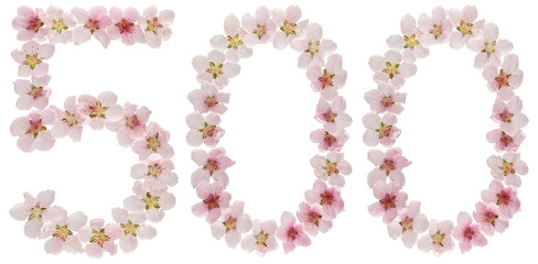 Numeral 500, five hundred, from natural pink flowers of peach tree, isolated on white background