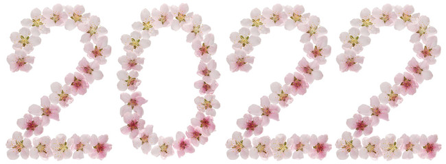 Inscription 2022, from natural pink flowers of peach tree, isolated on white background