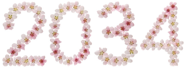 Inscription 2034, from natural pink flowers of peach tree, isolated on white background