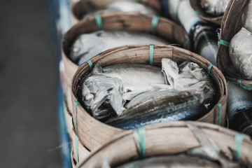 closeup mackerel in basket