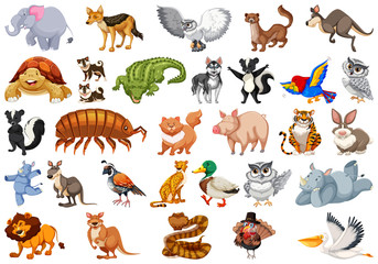Set of animal character