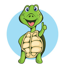 turtle thump ups
