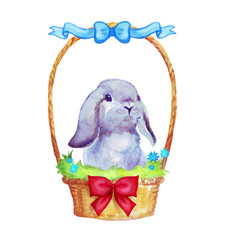 Happy Easter egg hunt watercolor illustration with easter rabbit in a basket with bows and ribbons. Cute bunny isolated on white background