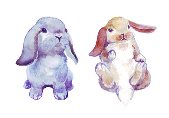 Watercolor hand drawn illustration of realistic cute little bunnies isolated on white background. A set of two cute easter rabbits