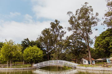 bridge in the park