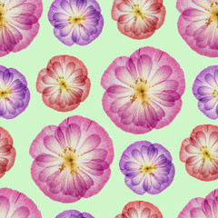 Poppy. Seamless pattern texture of flowers. Floral background, photo collage