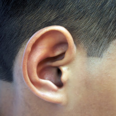closeup of ear of man