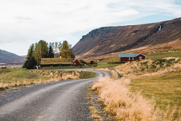 Fototapeta na wymiar Rural road and traditional buildings in beautiful landscape in Iceland, Europe