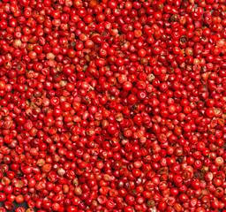 Pink or rose brazilian red peppercorns (schinus terebinthifolius) frame filling texture background