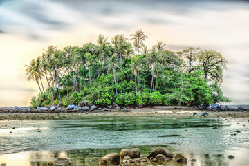 small rocky island with coconut tree and green plants during low tide in evening sky