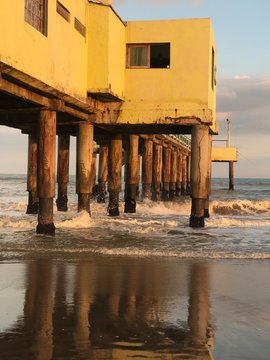 Muelle
