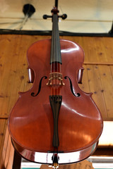 A newly-made violin at music shop in Granada, Spain