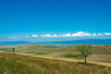 Fototapeta na wymiar Steppe landscape in Kakheti, Georgia.