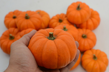 Orange pumkin on white background