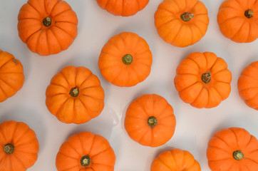 Orange pumkin on white background