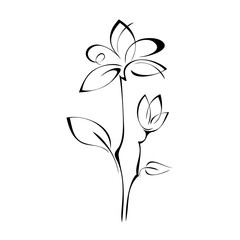 stylized flower with a Bud on stems with leaves in black lines on a white background