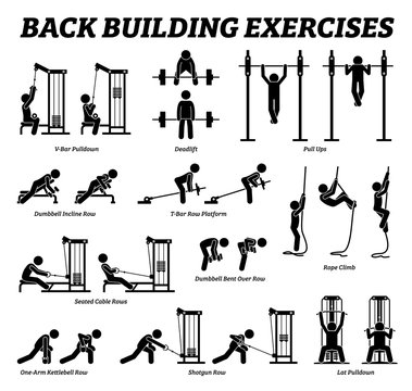 Back building exercises and muscle building stick figure pictograms. Artworks depict a set of weight training reps workout for back muscle by gym machine and tools with step by step instructions.