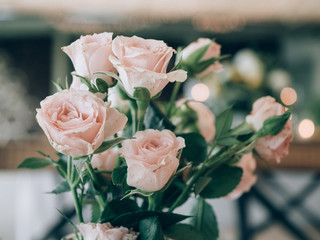 Wedding venue. Wedding decoration. 