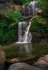 waterfall in the forest Rock Garden Darjeeling