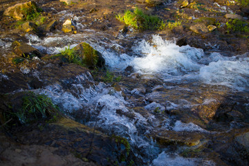 Naklejka na ściany i meble a small stream in the forest. The concept of the water of life