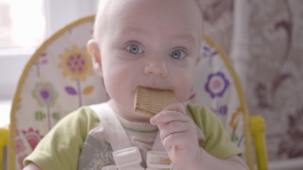 beautiful small toddler boy at the table take a cookie in his hand, eating it and watching into the...