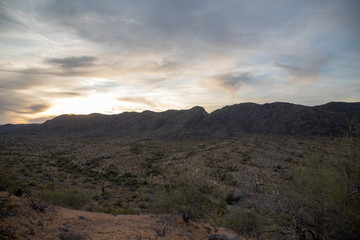 Desert Sunset