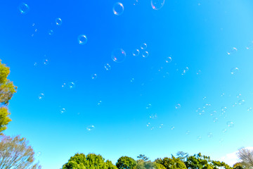 Fototapeta na wymiar Soap bubble floating in the blue sky
