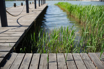 Obraz premium boardwalk and wetland