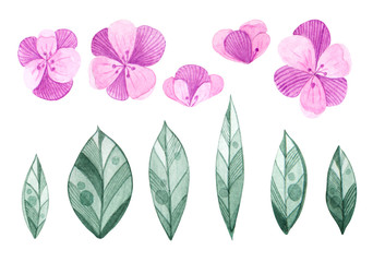 Set of isolated pink flower and leaves for decorating frames and invitations