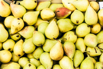 Green ripe pears in the fruit market of Catania, Sicily, Italy.