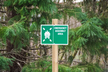 Emergency assembly area sign on fir needle background