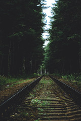 Obraz premium railway in forest