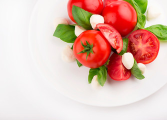 tomato basil and mozzarella on a white background