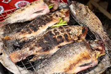 Grilled Tilapia Fish with Herbs, Healthy Asian Local Food with Good Taste