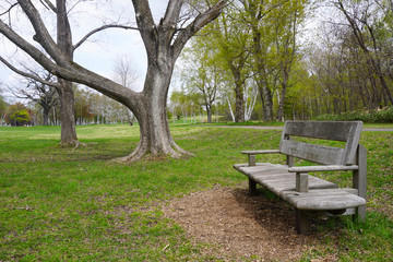 公園のベンチ