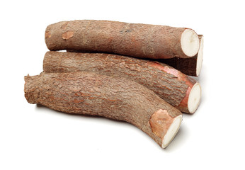 Cassava isolated on a white background
