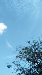 blue sky with clouds