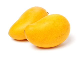 Mango on white background