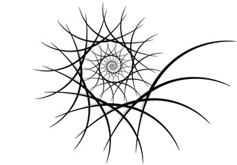 Spiral vector design elements. Abstract lines black and white. Swirl background.