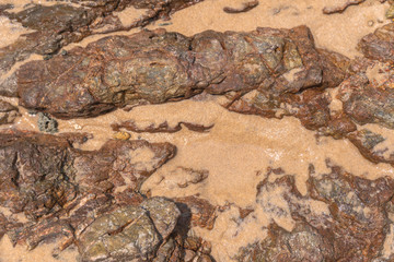 .top view of wave hit rock on the beach texture of rock when it wet and dry