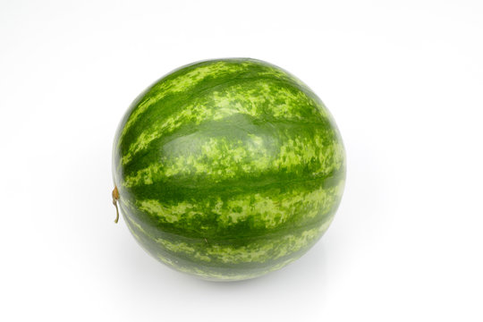 Truck Loaderwatermelon Gaming