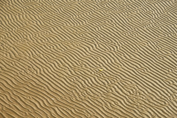 浅瀬の砂紋