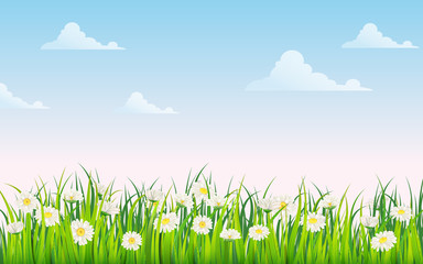 Obraz premium Spring field of flowers of daisies, chamomile and green juicy grass, meadow, blue sky, white clouds