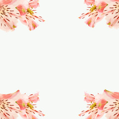 autumn leaves frame and background