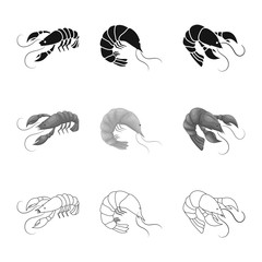 Naklejka premium Vector design of appetizer and ocean icon. Collection of appetizer and delicacy stock symbol for web.