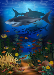 Underwater background with shark and tropical fish, vector illustration