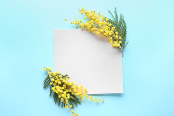 Empty sheet of paper with beautiful mimosa flowers on color background