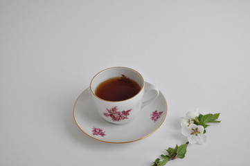 Thyme herbal tea, view from above, space for a text